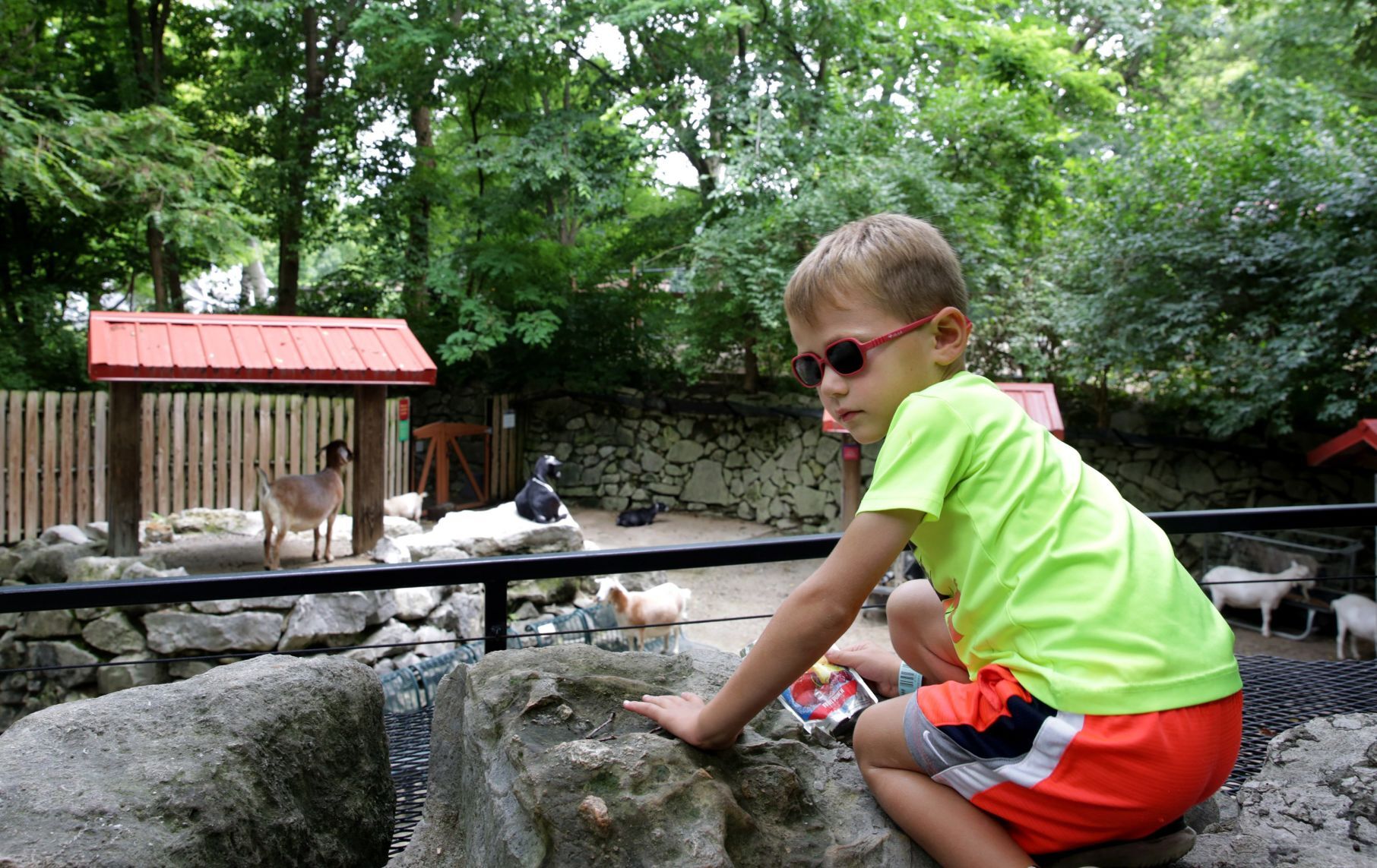 St. Louis Children's Zoo to close this fall